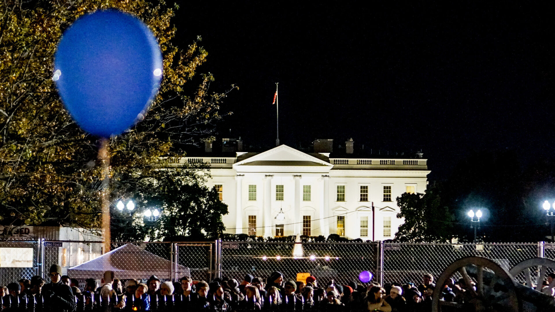 Anti-Trump Protest in Washington D.C.